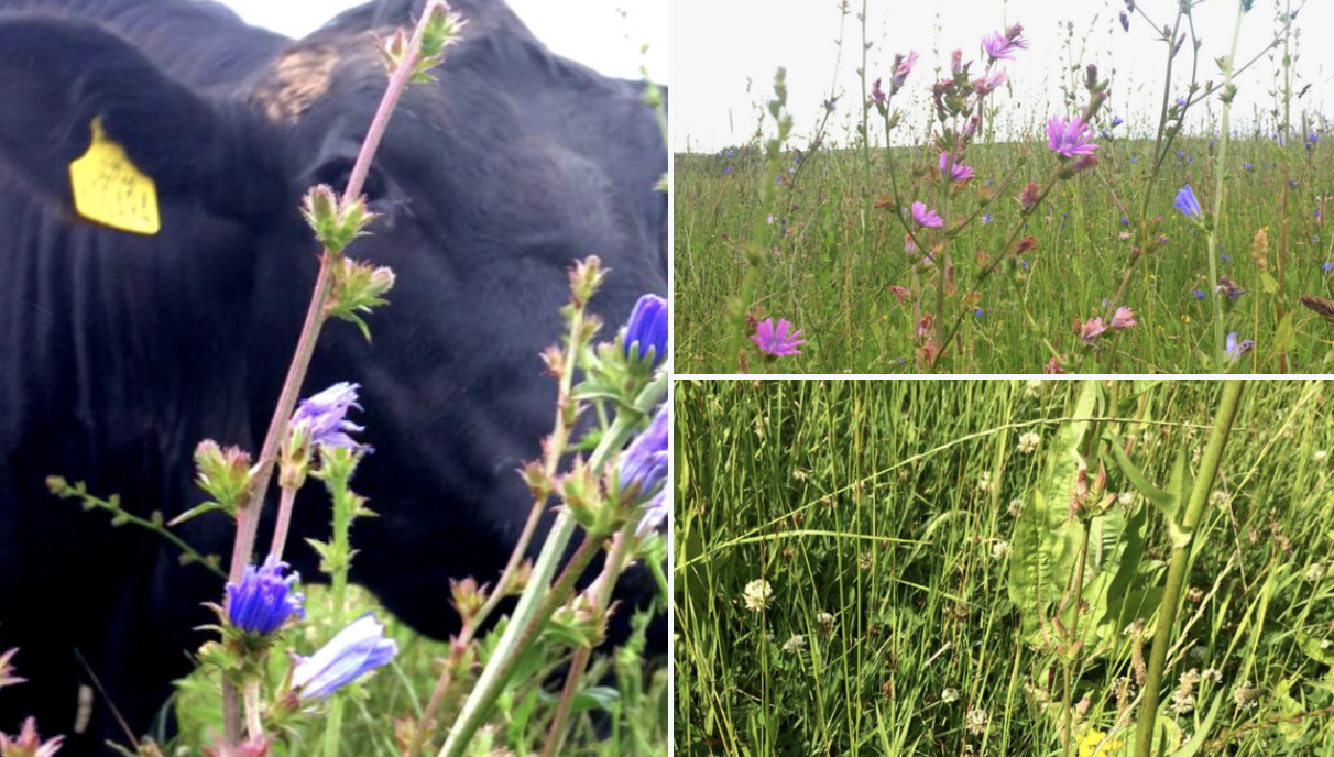 Overharvesting image