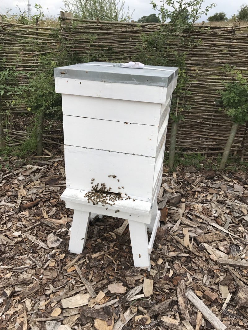 Our National hive standing tall