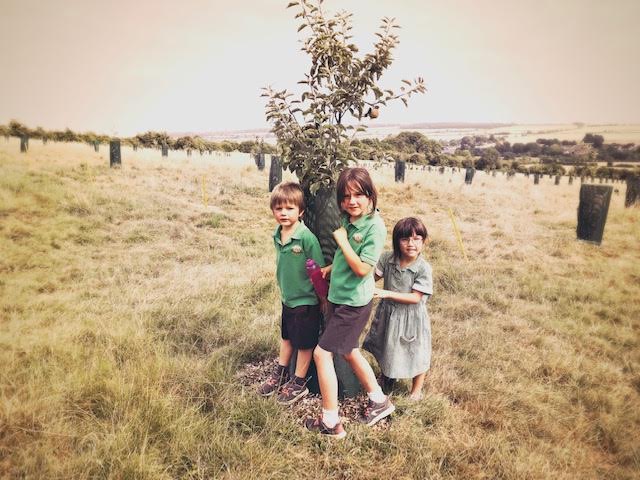 Exploring the orchard 